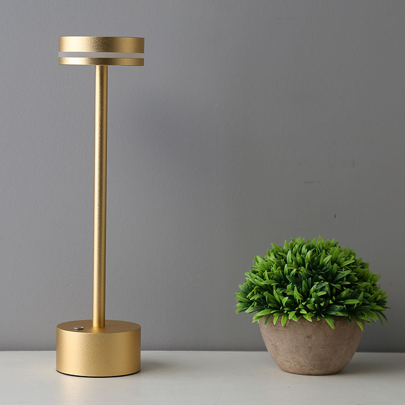 Gold floor lamp and green potted plant on a gray background