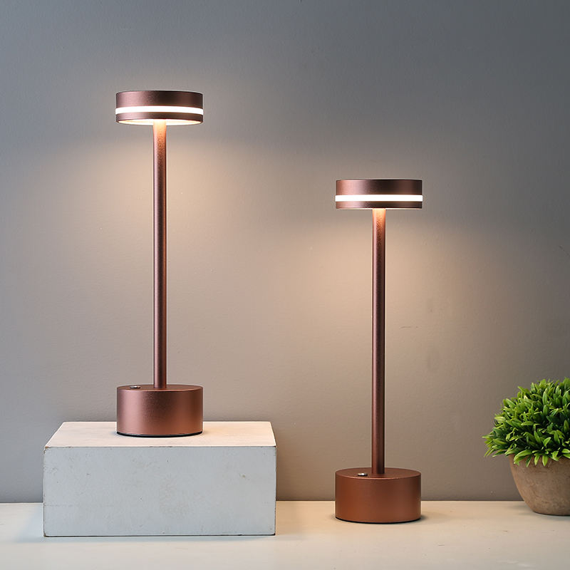 Two copper outdoor lamps on a neutral background with a plant.