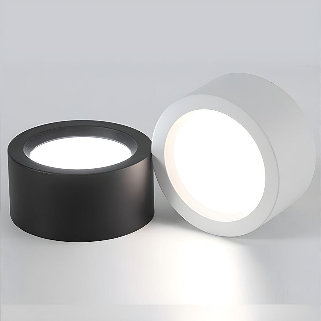 Two round ceiling lights, one black and one white, on a light gray background.