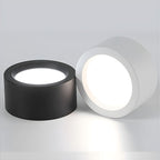 Two round ceiling lights, one black and one white, on a light gray background.