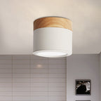 Moderne plafondlamp – Stijlvolle waterdichte verlichting voor badkamer en huis