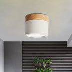Moderne plafondlamp – Stijlvolle waterdichte verlichting voor badkamer en huis