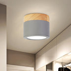 Moderne plafondlamp – Stijlvolle waterdichte verlichting voor badkamer en huis