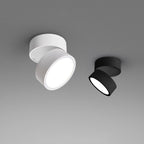 Two ceiling lights, one white and one black, on a gray background