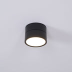 Black cylindrical ceiling light fixture on a white background