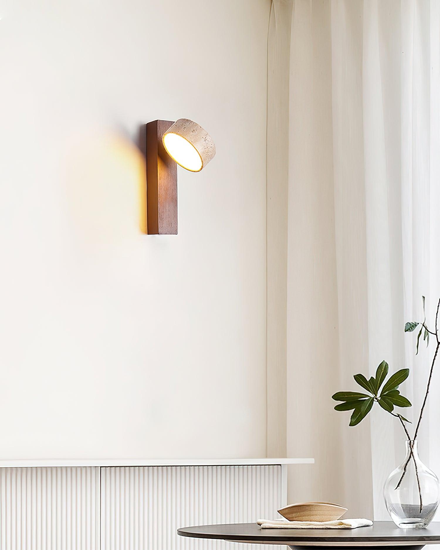 Modern wall-mounted light fixture on a neutral wall with a plant in the corner.