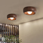 Two wooden ceiling lights on a ceiling with a plant and window in the background.