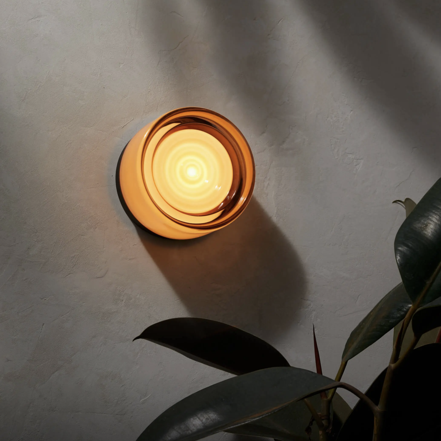 Round wall light fixture on a textured wall with a plant leaf in the foreground