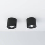 Two black cylindrical ceiling lights on a white background