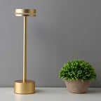 Gold floor lamp and green potted plant on a gray background